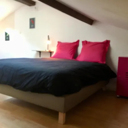 Duplex Place Stanislas -c- דירה נאנסי